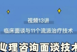 心理咨询面谈技术课理论讲授+案例实录+解释点评视频