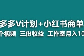 （6999期）【蓝海项目】多多v计划+小红书商单 一个视频三份收益 工作室月入10w