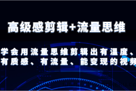 高级感剪辑+流量思维 学会用流量思维剪辑出有温度、有质感、有流量、能变现的视频