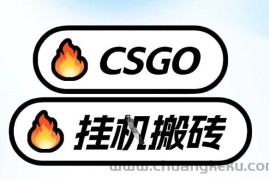真全网独家CSGO挂G，最新玩法,单日捡漏1K+，不用电脑，不用打游戏【揭秘】