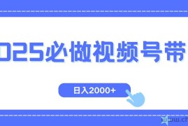 （14259期）视频号带货，纯自然流，起号简单，爆率高轻松日入2000+