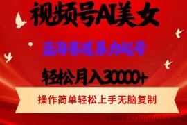 （12178期）视频号AI美女跳舞，轻松月入30000+，蓝海赛道，流量池巨大，起号猛，当…