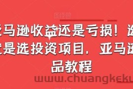 亚马逊收益还是亏损！选品就是选投资项目，亚马逊选品教程