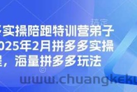 拼多多实操陪跑特训营弟子班，2025年2月拼多多实操课程，海量拼多多玩法