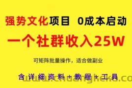 强势文化项目，一个社群收入25个W，0成本启动，可矩阵批量操作，原创详细实操教程