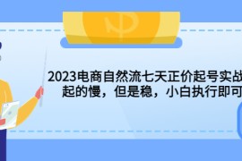 （5956期）2023电商自然流七天正价起号实战课：起的慢，但是稳，小白执行即可！