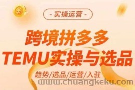 跨境拼多多TEMU实操与选品，多多temu跨境选品运营实操