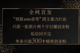 小红书神奇图片引流法，只需一张图，就能单条笔记凭借此方法，轻松引流 300 + 精准创业粉