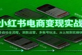 小红书电商变现实战课，冷启动全流程，测款运营，多账号玩法，从认知到实操快速起店