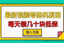 （13452期）视频号挂机项目，每天几十块低保，懒人专属