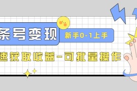 （4599期）2023头条号实操变现课：新手0-1轻松上手，快速获取收益-可批量操作