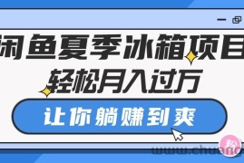 （10673期）闲鱼夏季冰箱项目，轻松月入过万，让你躺赚到爽