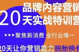 （3461期）《内容营销实操特训营》20天让你营销能力脱胎换骨（价值3999）