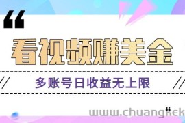 看视频赚美金项目，手机可挂机操作，多账号日收益无上限