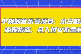 中视频音乐号项目：小白副业变现指南，月入过W不是梦【揭秘】