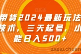 图文带货2024最新玩法，破播放技术，三天起号，小白也能日入500+【揭秘】