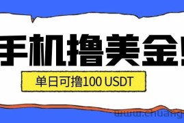 最新手机撸美金项目，单日产值100U+，2026年最新的风口项目