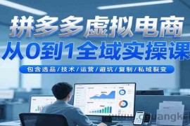 拼多多虚拟电商从0到1全域实操课，包含选品/技术/运营/避坑/复制/私域裂变