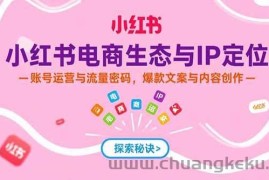 （15350期）小红书电商生态与IP定位，账号运营与流量密码，爆款文案与内容创作