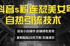 抖音s粉连怼美女号自热引流技术复制粘贴，20天万粉账号，无需实名制，矩阵操作【揭秘】