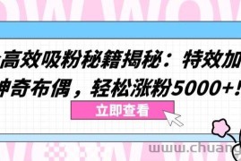 两个高效吸粉秘籍揭秘：特效加持与神奇布偶，轻松涨粉5000+【揭秘】