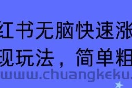 小红书无脑快速涨粉变现玩法，简单粗暴