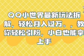 （6775期）QQ小世界最新玩法拆解，轻松月入过万。教你轻松引粉，小白也能拿上手