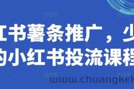 小红书薯条推广，少有的小红书投流课程