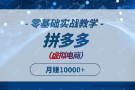 （14880期）拼多多虚拟电商，零基础实战教学，快速打爆商品，新手也能月入10000+