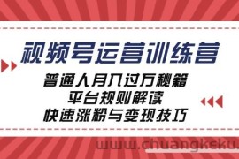 视频号运营训练营：普通人月入过万秘籍，平台规则解读，快速涨粉与变现