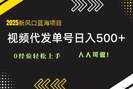 （14749期）2025视频代发蓝海项目：0经验轻松上手，单号日入500+，人人可做！