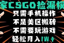 CSGO自动捡漏项目，最新独家玩法，不是美区搬砖，不需要了解和玩游戏，新手小白轻松月入1W+【揭秘】