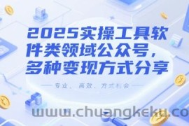 2025实操工具软件类领域公众号，多种变现方式分享