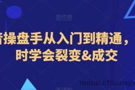 抖音操盘手从入门到精通，3小时学会裂变&amp;成交