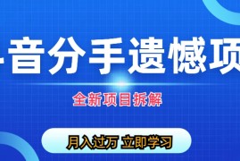 (6633期)自媒体抖音分手遗憾项目私域项目拆解