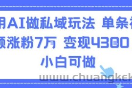 用AI做私域玩法，单条视频涨粉7W变现4.3k，小白可做