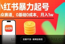 小红书暴力起号，小众赛道，0基础0成本，月入1w