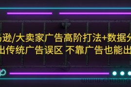 （5502期）亚马逊/大卖家广告高阶打法+数据分析，走出传统广告误区 不靠广告也能出单