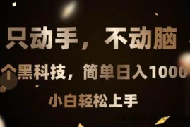 （13422期）只动手，不动脑，扫个黑科技，简单日入1000+，小白轻松上手