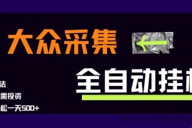 （15348期）大众采集全自动玩法，新手小白轻松一天500+，操作简单零成本