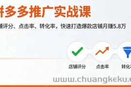 （16115期）拼多多推广实战课，店铺评分、点击率、转化率，快速打造爆款店铺月赚5.8万