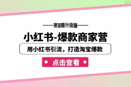 （7096期）小红书-爆款商家营【第18期升级版】用小红书引流，打造淘宝爆款（16节课）