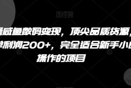 实操咸鱼数码变现，顶尖品质货源，一单利润200+，完全适合新手小白操作的项目【揭秘】