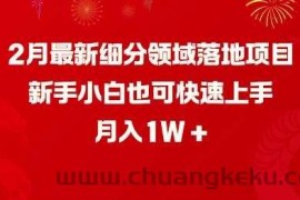 2月最新细分领域落地项目，新手小白也可快速上手，月入1W