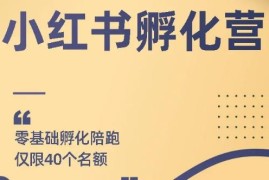 （1763期）勇哥小红书撸金快速起量项目：教你如何快速起号获得曝光，做到月躺赚3000+