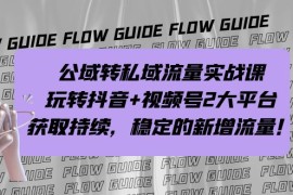 （7064期）公域转私域流量实战课，玩转抖音+视频号2大平台，获取持续，稳定的新增流量