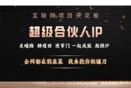 互联网项目天花板，超级合伙人IP，全网都在割韭菜，我来教你做镰刀【仅揭秘】