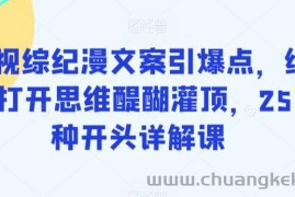 影视综纪漫文案引爆点，给你打开思维醍醐灌顶，255种开头详解课