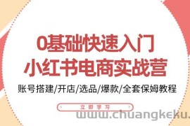 0基础快速入门小红书电商实战营：账号搭建/开店/选品/爆款/全套保姆教程