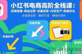 （15840期）小红书电商高阶全栈课：店铺搭建-商品运营-流量获取-内容生产-数据优化
